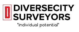 Diversecity surveyors
